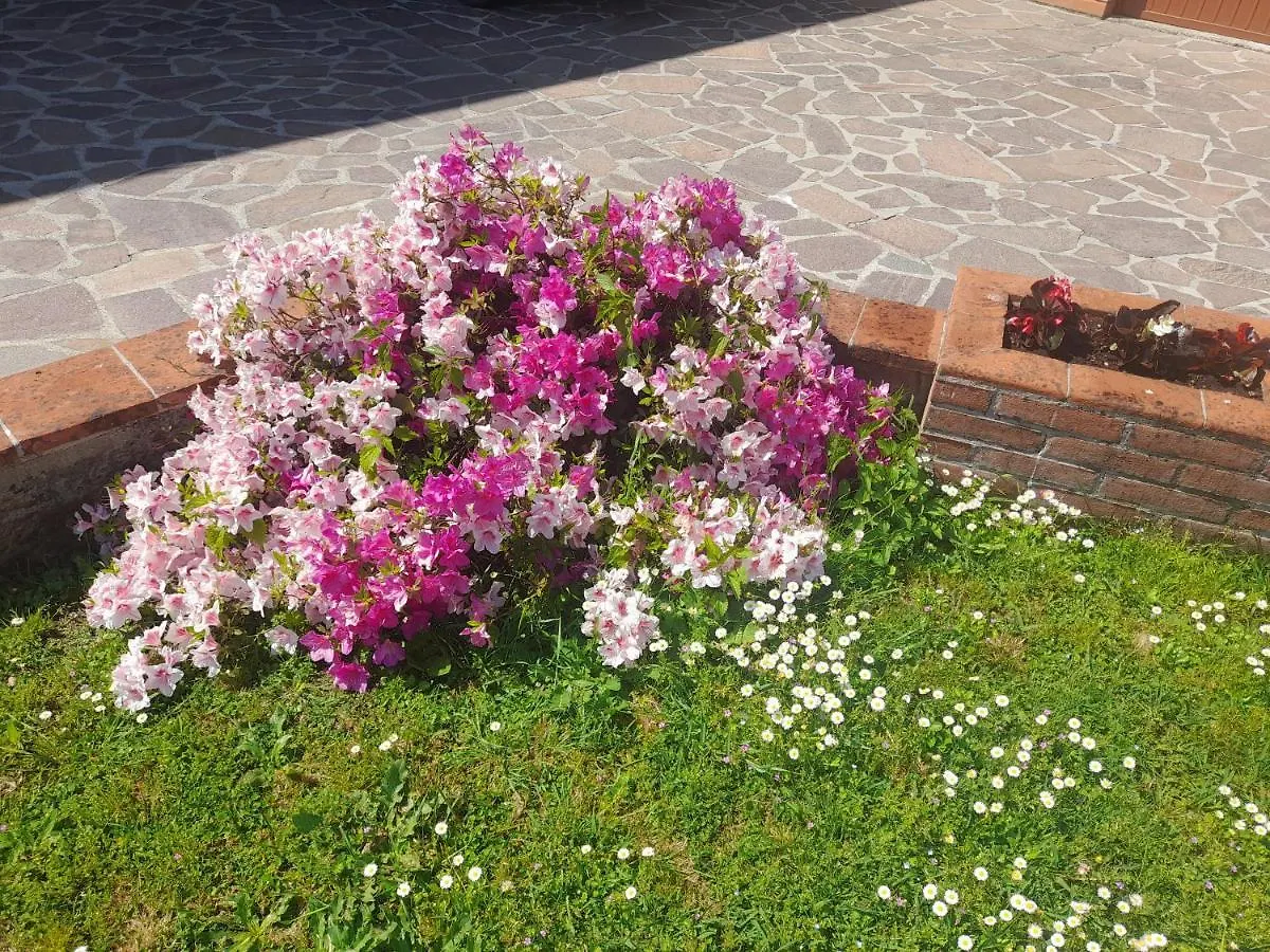 Casa vacanze Villa Casa Camelia Capannori